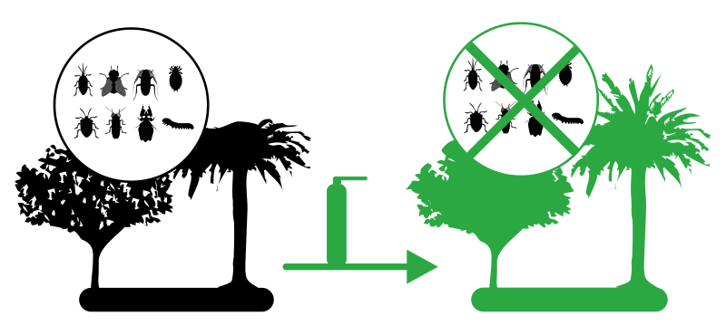 tratamientofitosanitario